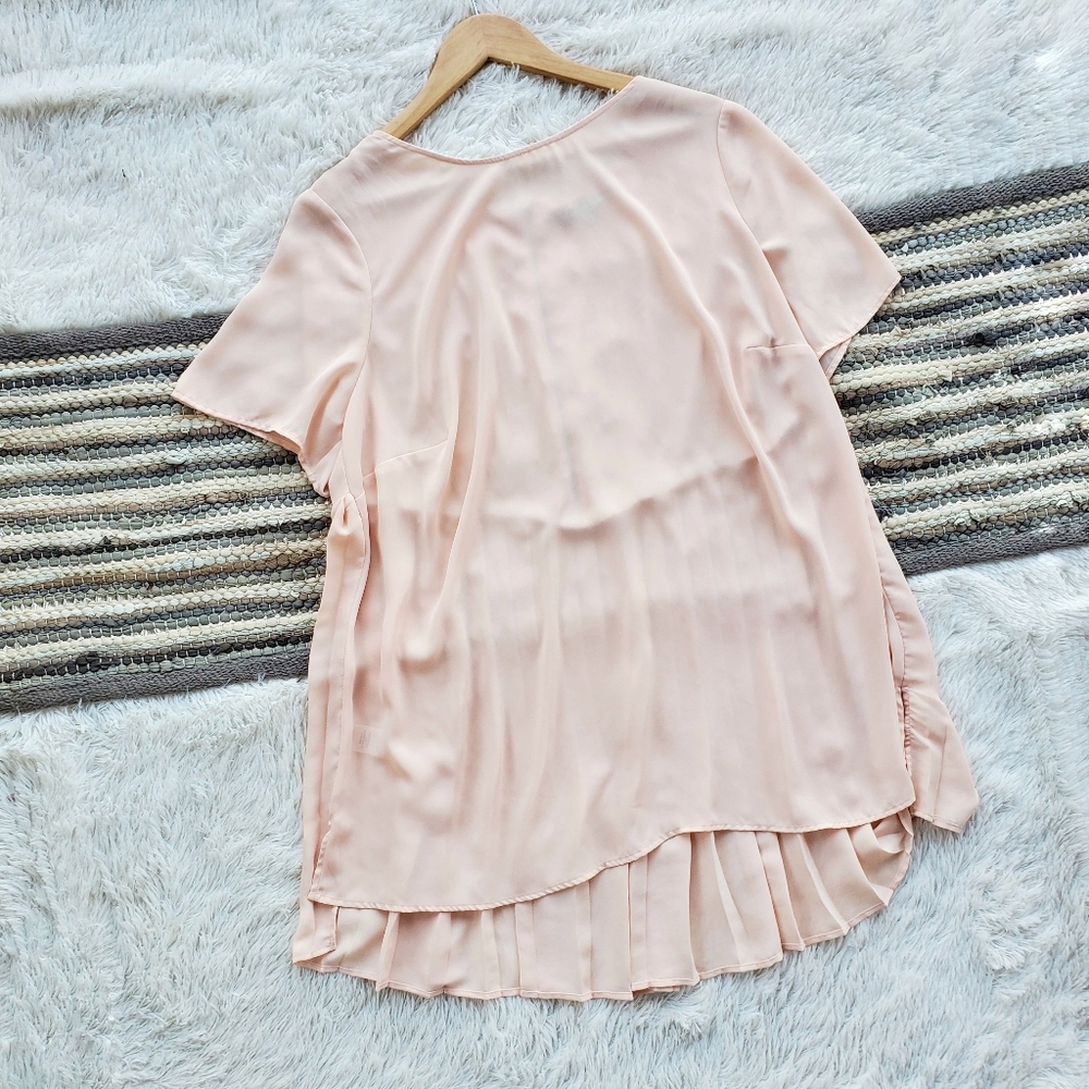 Daniel Rainn Plus Size Blush Pleated Back Top